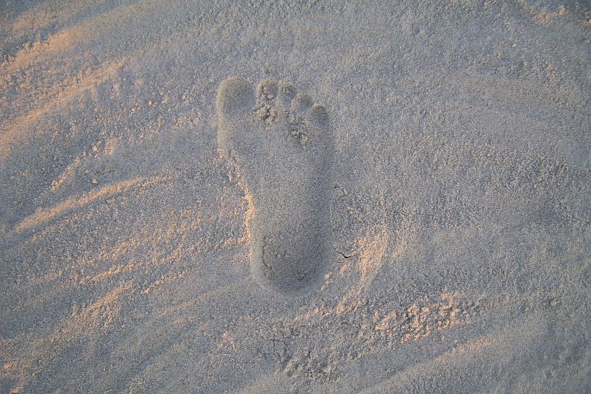 footprint-19649_1280